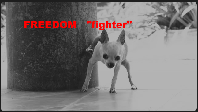 There are no freedom fighters in Canada!